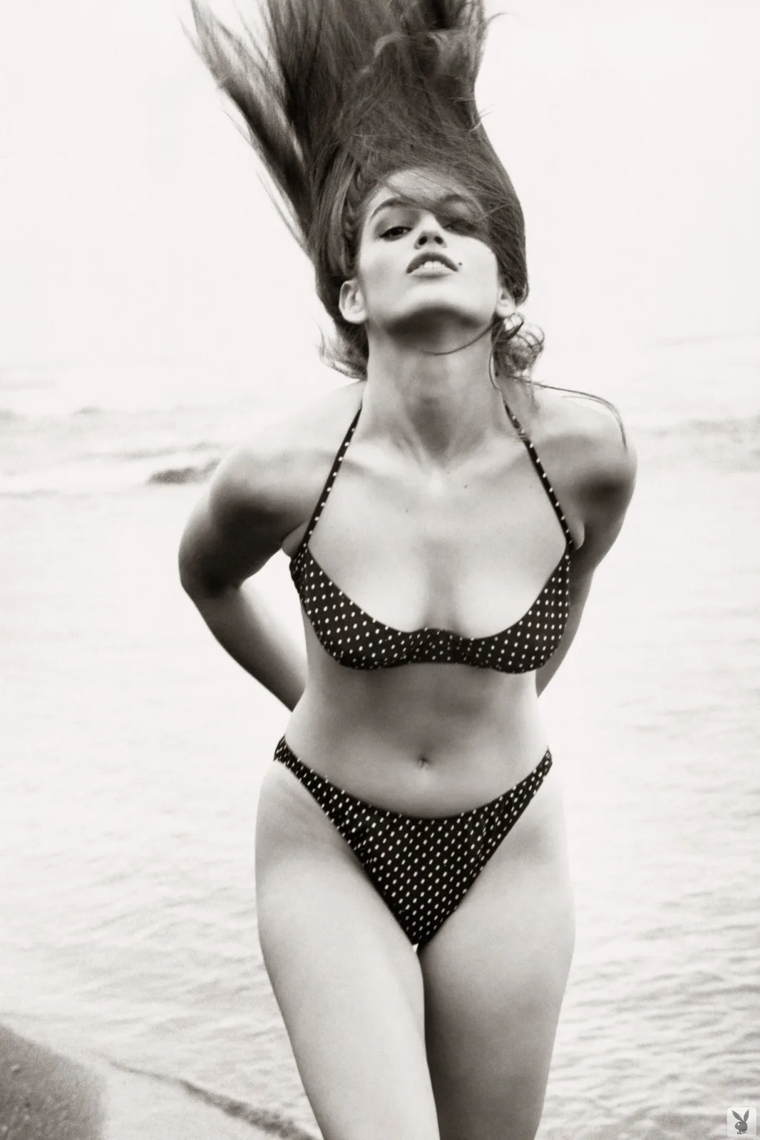 Cindy Crawford - Empire Models – photo 5